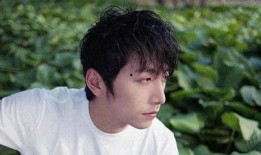 王大锤爆料刘宇宁视频,真相令人震惊！