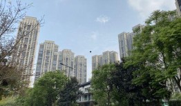 成都恒大爆料最新消息,揭秘项目进展与市场动态